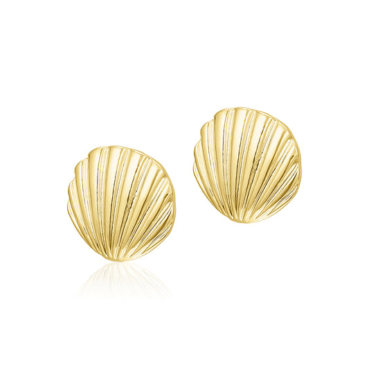 זוג עגילי צדף